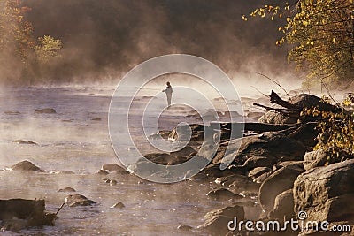 Fly Fisherman Editorial Stock Photo