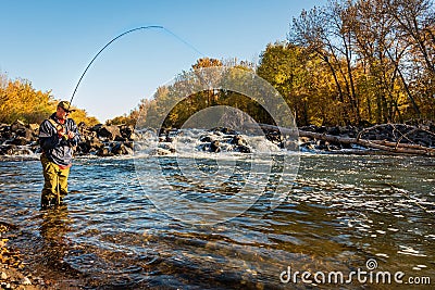 Fly fisherman catching a fish in the mountain river. Stock Photo