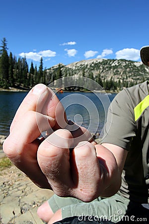 Fly fishing Stock Photo