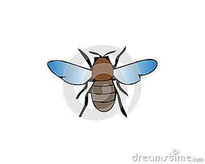 Fly, housefly vector illustration isolated on white background. Shiny insect Vector Illustration