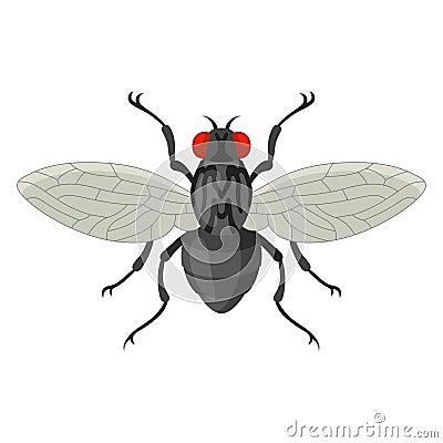 Fly icon, small black insect with wing Vector Illustration