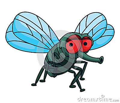 Fly Vector Illustration