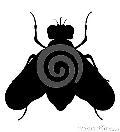 fly insects wildlife animals vector illustration Vector Illustration