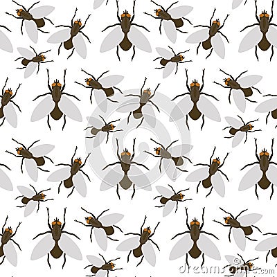 Fly insects wildlife entomology bug animal nature beetle biology buzz icon vector illustration pattern seamless Vector Illustration