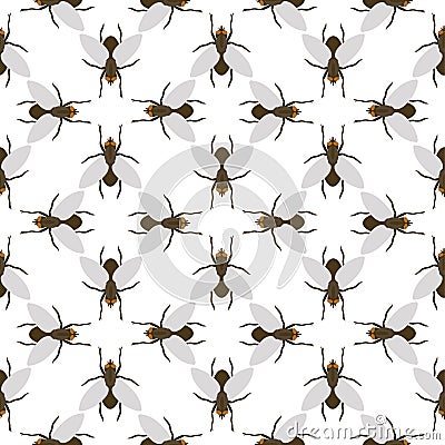 Fly insects wildlife entomology bug animal nature beetle biology buzz icon vector illustration pattern seamless Vector Illustration