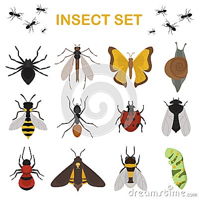 Fly insects wildlife entomology bug animal nature beetle biology buzz icon vector illustration Vector Illustration