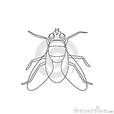 Fly line drawing Vector Illustration