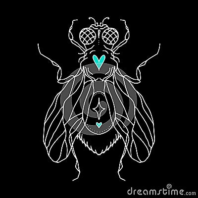 fly silhouette with hearts, eyes, wings, paws, dots and a star. Vector isolated hand drawing insect Vector Illustration