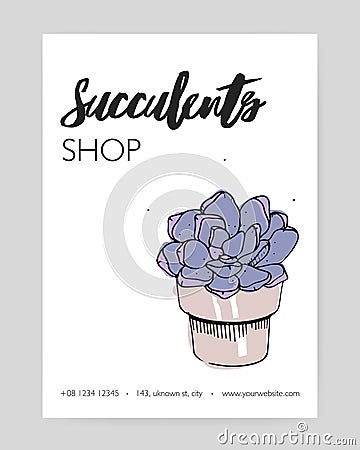 Flyer template with hand drawn echeveria growing in clay pot and place for text on white background. Stone rose, potted Vector Illustration