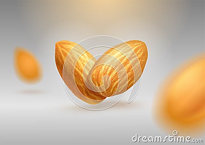Flying almonds on gray isolated background. Realistic vector 3d illustration. Template for packaging design, print design, postcar Cartoon Illustration