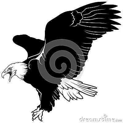 Flying Bald Eagle Vector Illustration