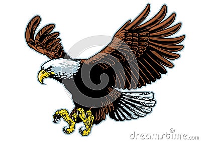 Flying bald eagle in detailed style Vector Illustration