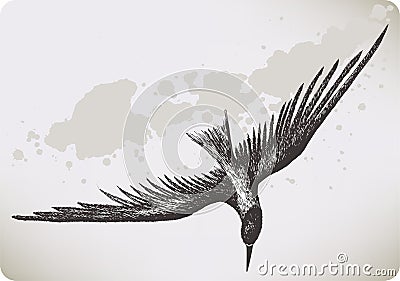 Flying bird, hand-drawing. Vector illustration. Vector Illustration