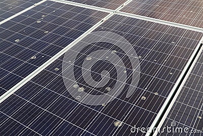 Flying Bird Poop Spreading on Solar Panel Surface Stock Photo