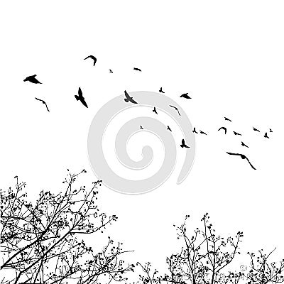 Flying birds and branch silhouettes on white background. Vector Vector Illustration