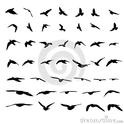 Flying birds and branch silhouettes on white background. Vector Vector Illustration