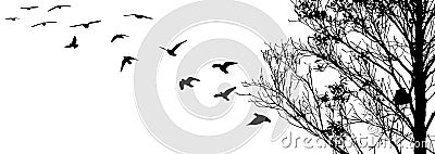 Flying birds and branch silhouettes on white background Vector Illustration