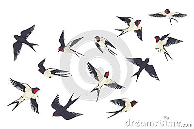 Flying birds flock. Cartoon hand drawn swallows in fight with different poses, kids illustration isolated on white Vector Illustration
