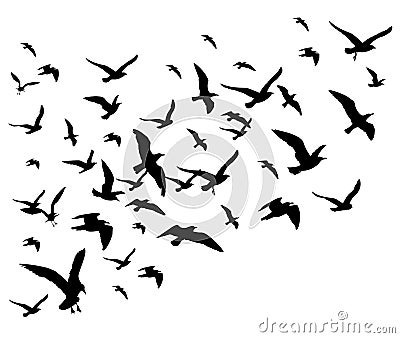 Flying birds flock vector illustration isolated on white background Vector Illustration