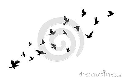 Flying birds silhouette flock. Vector illustration Cartoon Illustration