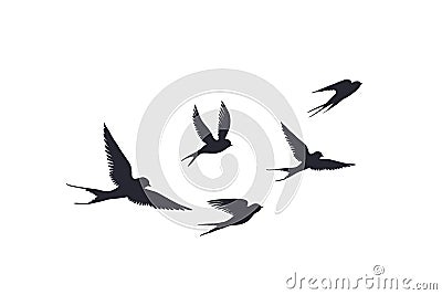 Flying birds silhouette on white background. Vector set of flock of swallows sign. Tattoo spring bird or swift birds Vector Illustration