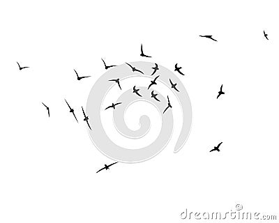 Flying birds silhouettes. A flock of swallows, swifts. Wallpaper, background design. Abstract vector illustration. Vector flock of Vector Illustration