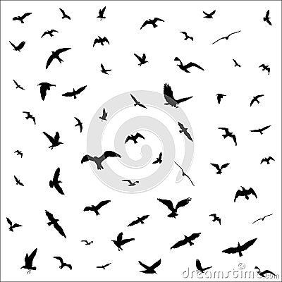 Flying birds silhouettes on white background Vector Illustration