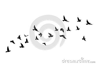 Flying birds silhouettes on white background. Vector illustration. isolated bird flying. tattoo design Vector Illustration