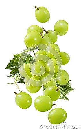 Flying bunch of grapes isolated on white background. Green berries falling Stock Photo