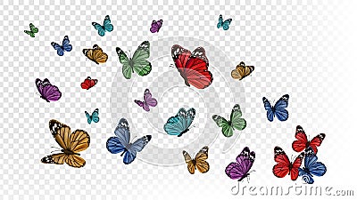 Flying butterflies. Colorful butterfly isolated on transparent background. Spring and summer insects vector illustration Vector Illustration