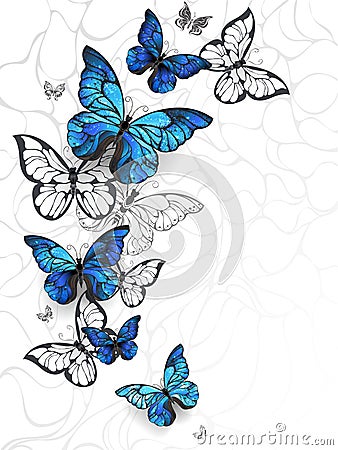 Flying butterflies morpho Vector Illustration