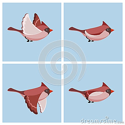 Flying Cardinal Bird female animation sprite sheet Vector Illustration