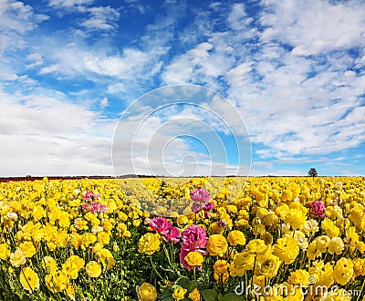 Flying clouds on a windy spring day Stock Photo