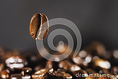 Flying coffee bean over dark Stock Photo