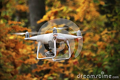 Flying drone in autumn yellow forest environment Stock Photo