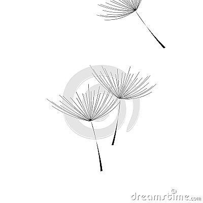 Flying dandelion. Dandelion fluff on blank background Vector Illustration