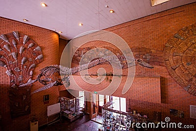 Flying dinosaur skeleton at exposition of Palentology Museum Editorial Stock Photo
