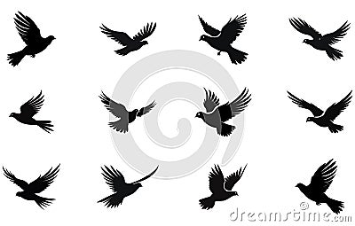 Flying Dove birds silhouettes, isolated bird flying Vector Illustration