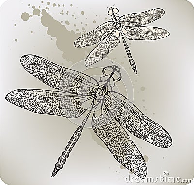 Flying dragonfly, hand-drawing. Vector illustratio Vector Illustration