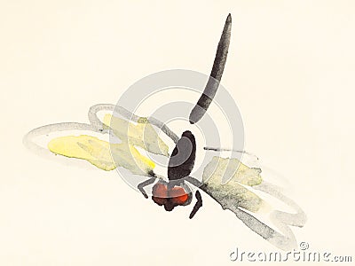 Flying dragonfly hand painted on colored paper Stock Photo