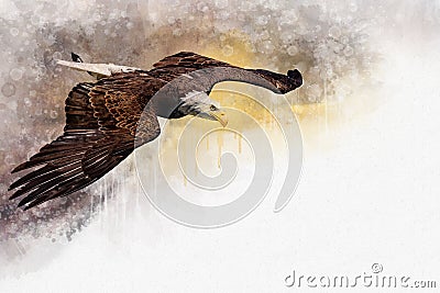 Flying Eagle America Bird, watercolor painting. Symbol predator. Bird illustration Cartoon Illustration