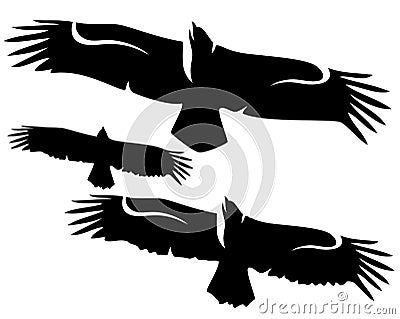 Flying eagles set Vector Illustration