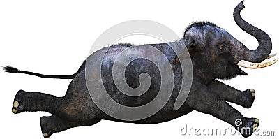 Flying Elephant, Wildlife Animal, Isolated Cartoon Illustration