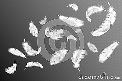 Flying feathers. Falling twirled fluffy realistic white swan, dove or angel wings feather flow, soft birds plumage Vector Illustration