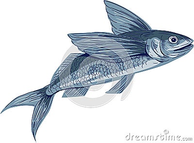 Flying Fish Drawing Vector Illustration