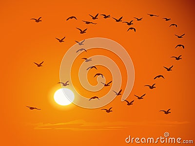 Flying flock birds against sunset for valentines d Vector Illustration