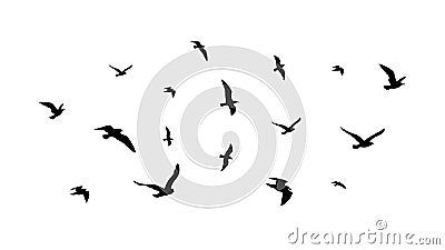 Flying flock of birds. Flight bird silhouettes, isolated black doves or seagulls collection. Freedom metaphor vector Vector Illustration