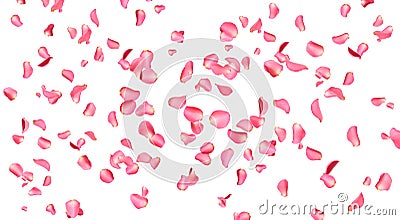 Flying fresh pink rose petals on background Stock Photo