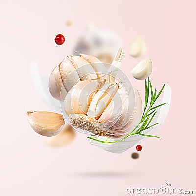 Flying Garlic falling in air with red and black pepper and herbs like dill and fennel leaves on light pink background. Spicy and Stock Photo