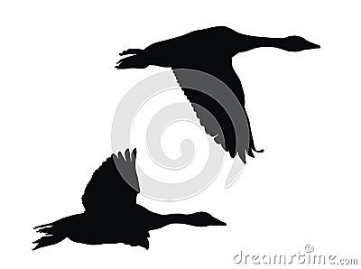 Flying geese Vector Illustration